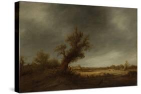 Landscape with an Old Oak-Adriaen Van Ostade-Stretched Canvas