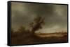 Landscape with an Old Oak-Adriaen Van Ostade-Framed Stretched Canvas