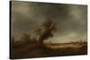 Landscape with an Old Oak-Adriaen Van Ostade-Stretched Canvas