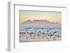 Landscape with Beach and Table Mountain at Sunrise-Werner Lehmann-Framed Photographic Print