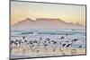 Landscape with Beach and Table Mountain at Sunrise-Werner Lehmann-Mounted Photographic Print