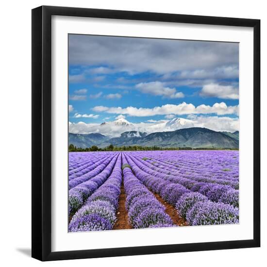 Photo, , large