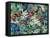 Landscape with Berries and Foliage, Alaska, USA-Art Wolfe-Framed Stretched Canvas