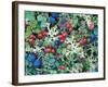 Landscape with Berries and Foliage, Alaska, USA-Art Wolfe-Framed Photographic Print