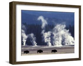 Landscape with Bison and Steam from Geysers, Yellowstone National Park, Wyoming Us-Pete Cairns-Framed Photographic Print