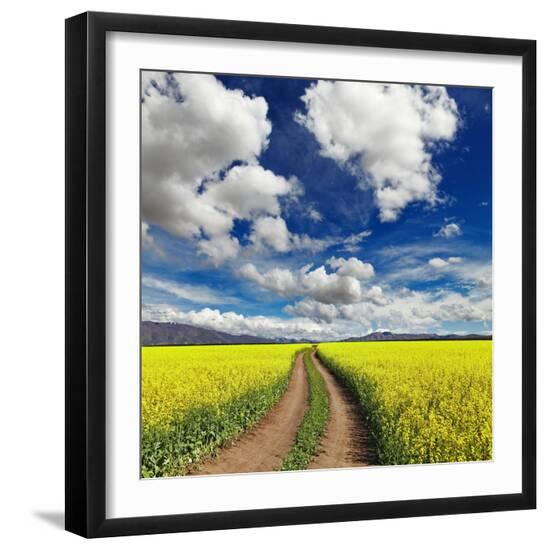 Photo, , large