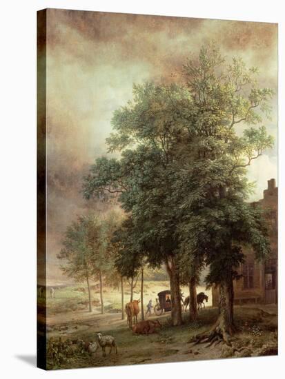 Landscape with Carriage or House Beyond the Trees-Paulus Potter-Stretched Canvas