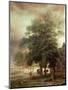 Landscape with Carriage or House Beyond the Trees-Paulus Potter-Mounted Giclee Print