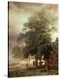 Landscape with Carriage or House Beyond the Trees-Paulus Potter-Stretched Canvas