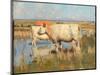 Landscape with Cattle, C.1883-85 (Oil on Canvas)-Joseph Crawhall-Mounted Giclee Print