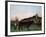Landscape with Cattle, C. 1900-Henri Rousseau-Framed Giclee Print