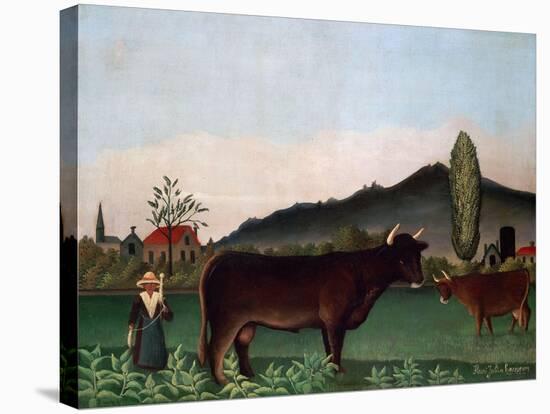 Landscape with Cattle, C. 1900-Henri Rousseau-Stretched Canvas