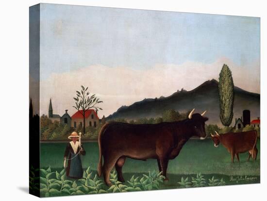 Landscape with Cattle, C. 1900-Henri Rousseau-Stretched Canvas