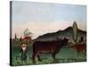Landscape with Cattle, C. 1900-Henri Rousseau-Stretched Canvas