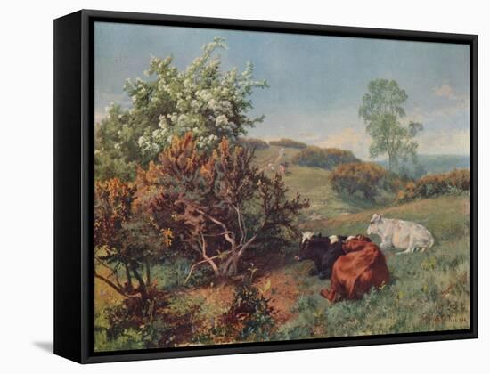 Landscape with Cattle (In the Nower, Dorking), c1899-Charles Collins-Framed Stretched Canvas