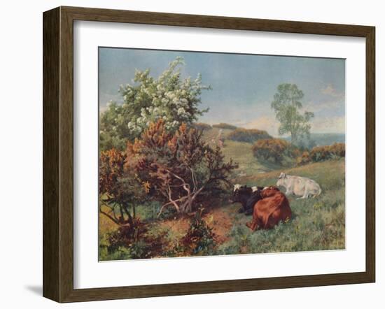 Landscape with Cattle (In the Nower, Dorking), c1899-Charles Collins-Framed Giclee Print