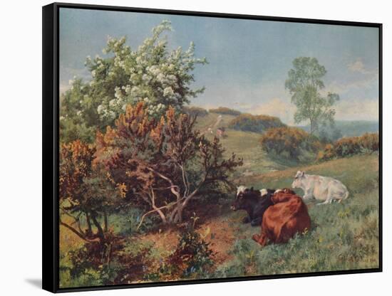 Landscape with Cattle (In the Nower, Dorking), c1899-Charles Collins-Framed Stretched Canvas