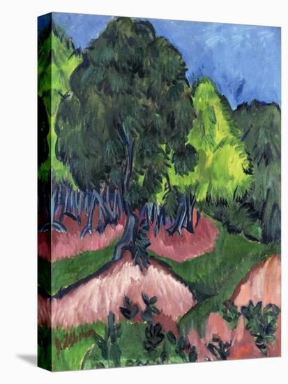 Landscape with Chestnut Tree-Ernst Ludwig Kirchner-Stretched Canvas