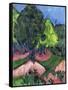 Landscape with Chestnut Tree-Ernst Ludwig Kirchner-Framed Stretched Canvas