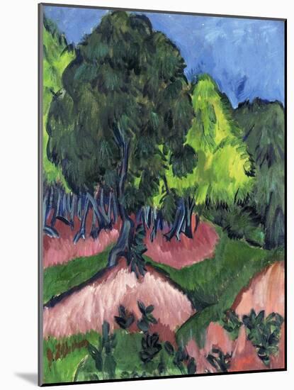Landscape with Chestnut Tree-Ernst Ludwig Kirchner-Mounted Giclee Print