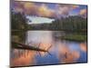 Landscape with Christmas Tree Lake and evergreen forest at sunset, White Mountain Apache Reserva...-Panoramic Images-Mounted Photographic Print