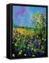 Landscape With Cornflowers 459060-Pol Ledent-Framed Stretched Canvas