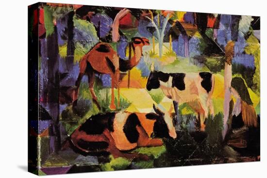 Landscape with Cows and Camels-Auguste Macke-Stretched Canvas