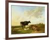 Landscape with Cows and Sheep, 1850-Thomas Sidney Cooper-Framed Giclee Print