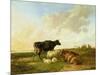 Landscape with Cows and Sheep, 1850-Thomas Sidney Cooper-Mounted Giclee Print