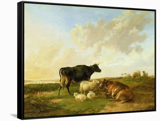 Landscape with Cows and Sheep, 1850-Thomas Sidney Cooper-Framed Stretched Canvas