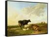 Landscape with Cows and Sheep, 1850-Thomas Sidney Cooper-Framed Stretched Canvas