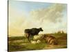 Landscape with Cows and Sheep, 1850-Thomas Sidney Cooper-Stretched Canvas
