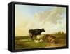 Landscape with Cows and Sheep, 1850-Thomas Sidney Cooper-Framed Stretched Canvas