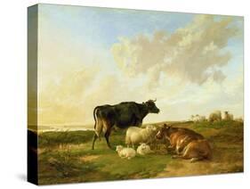 Landscape with Cows and Sheep, 1850-Thomas Sidney Cooper-Stretched Canvas
