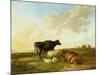 Landscape with Cows and Sheep, 1850-Thomas Sidney Cooper-Mounted Giclee Print