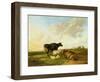 Landscape with Cows and Sheep, 1850-Thomas Sidney Cooper-Framed Giclee Print