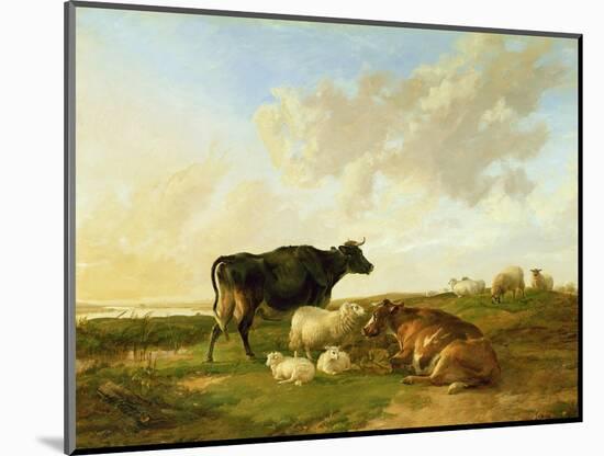 Landscape with Cows and Sheep, 1850-Thomas Sidney Cooper-Mounted Giclee Print