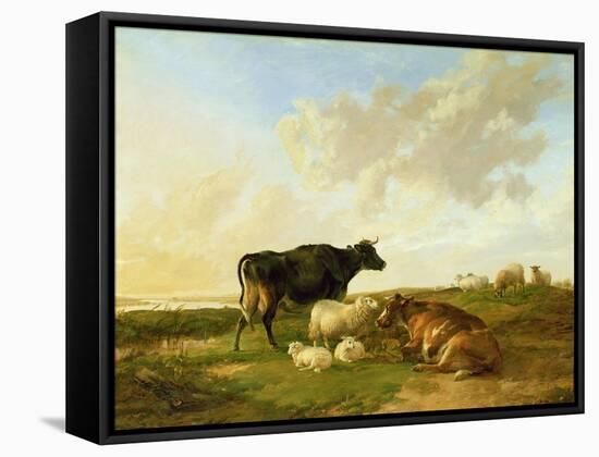 Landscape with Cows and Sheep, 1850-Thomas Sidney Cooper-Framed Stretched Canvas