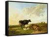 Landscape with Cows and Sheep, 1850-Thomas Sidney Cooper-Framed Stretched Canvas