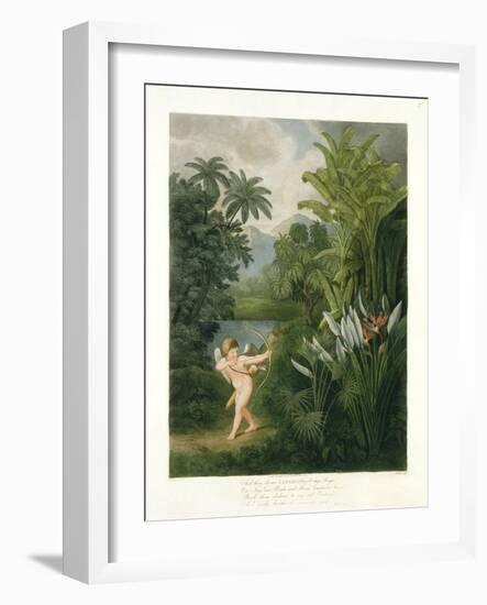 Landscape with Cupid Aiming an Arrow at a Parrot or Queen Flower, from "The Temple of Flora"-Philip Reinagle-Framed Giclee Print