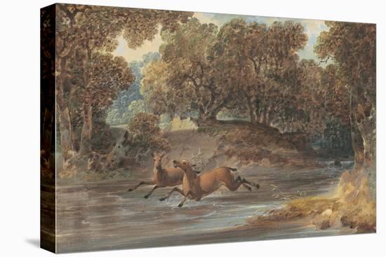 Landscape with Deer, North Carolina, c.1820-Joshua Shaw-Stretched Canvas