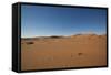 Landscape with Desert Grasses, Red Sand Dune and African Acacia Trees, Sossusvlei, Namibia, Souther-DR_Flash-Framed Stretched Canvas