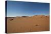 Landscape with Desert Grasses, Red Sand Dune and African Acacia Trees, Sossusvlei, Namibia, Souther-DR_Flash-Stretched Canvas