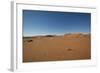 Landscape with Desert Grasses, Red Sand Dune and African Acacia Trees, Sossusvlei, Namibia, Souther-DR_Flash-Framed Photographic Print