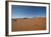 Landscape with Desert Grasses, Red Sand Dune and African Acacia Trees, Sossusvlei, Namibia, Souther-DR_Flash-Framed Photographic Print