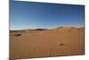 Landscape with Desert Grasses, Red Sand Dune and African Acacia Trees, Sossusvlei, Namibia, Souther-DR_Flash-Mounted Photographic Print