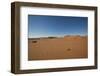 Landscape with Desert Grasses, Red Sand Dune and African Acacia Trees, Sossusvlei, Namibia, Souther-DR_Flash-Framed Photographic Print