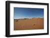 Landscape with Desert Grasses, Red Sand Dune and African Acacia Trees, Sossusvlei, Namibia, Souther-DR_Flash-Framed Photographic Print