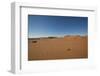 Landscape with Desert Grasses, Red Sand Dune and African Acacia Trees, Sossusvlei, Namibia, Souther-DR_Flash-Framed Photographic Print