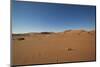 Landscape with Desert Grasses, Red Sand Dune and African Acacia Trees, Sossusvlei, Namibia, Souther-DR_Flash-Mounted Photographic Print